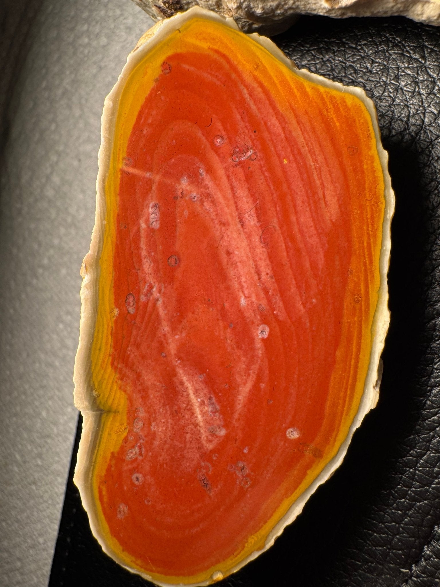 Pair of bean ore jasper