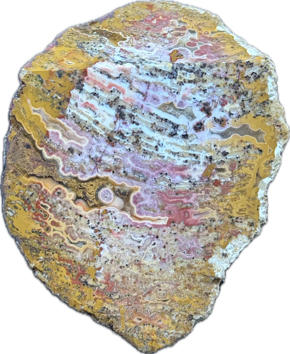 Meine Vitrine auf der Munich Show 2026 - Mineralien Manufaktur