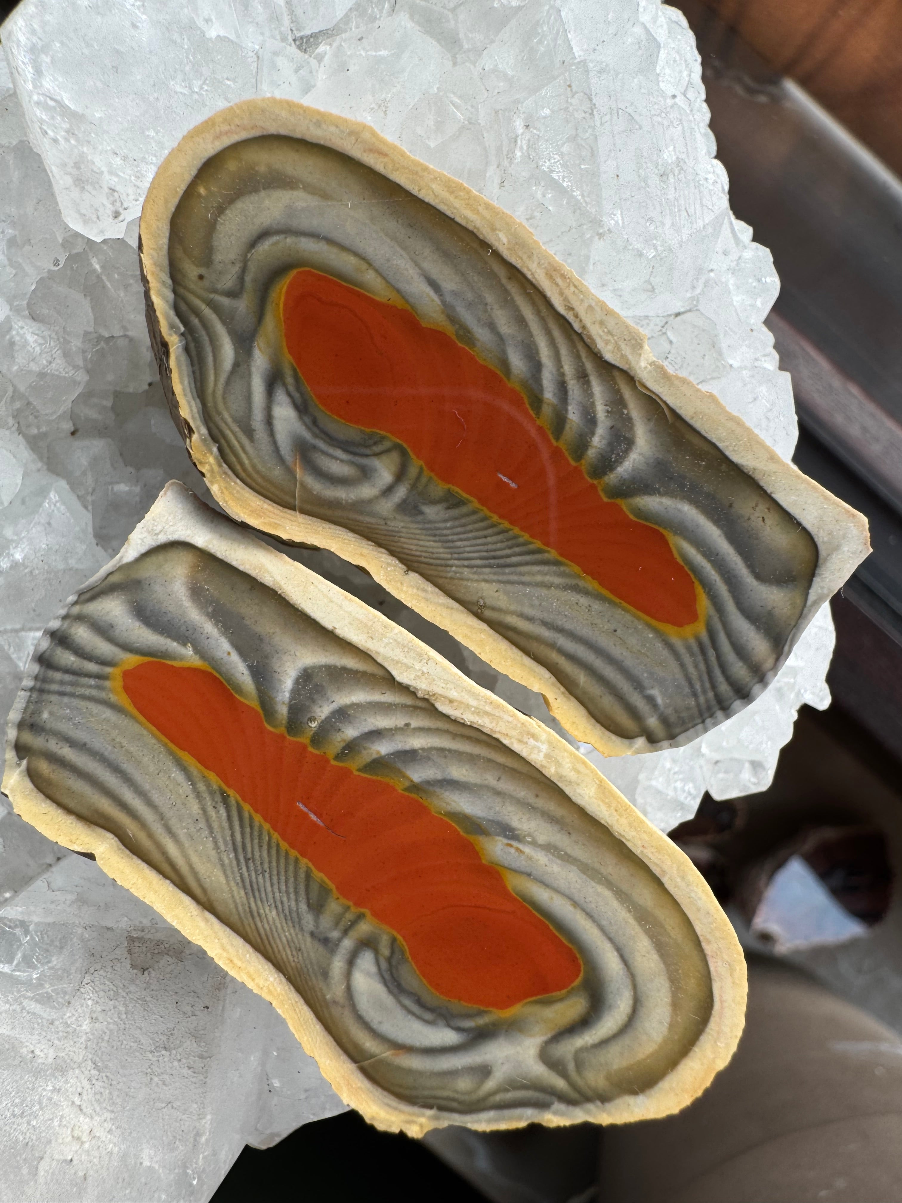 Bohnerzjaspis Flachschliff