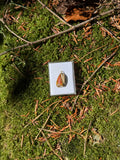 Bohnerzjaspis Schmuck Anhänger