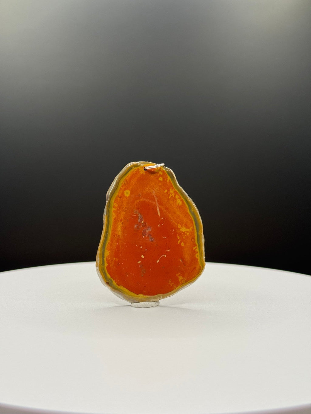 Bohnerzjaspis Anhänger viele Fossilien