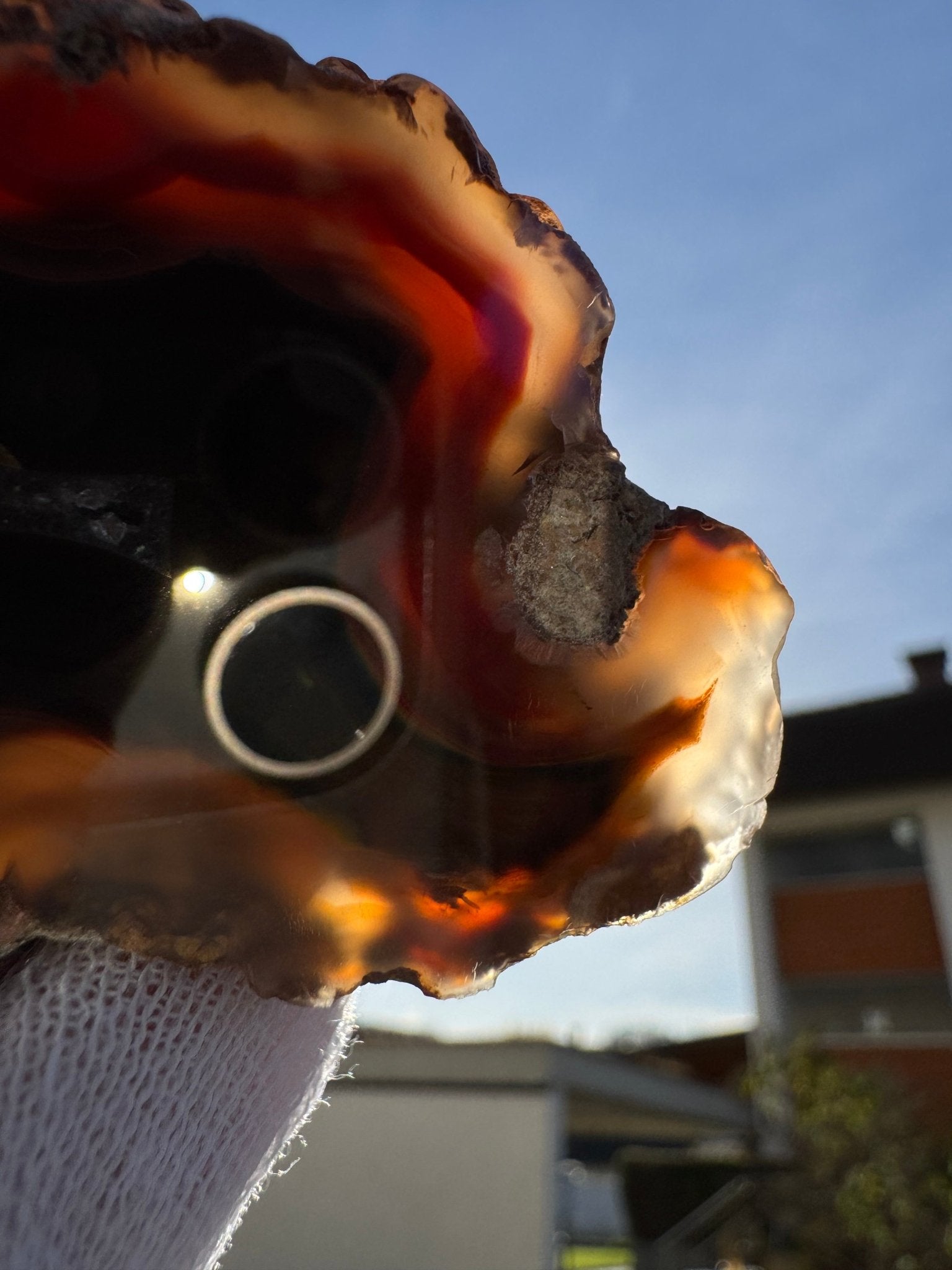 Top agate from Argentina