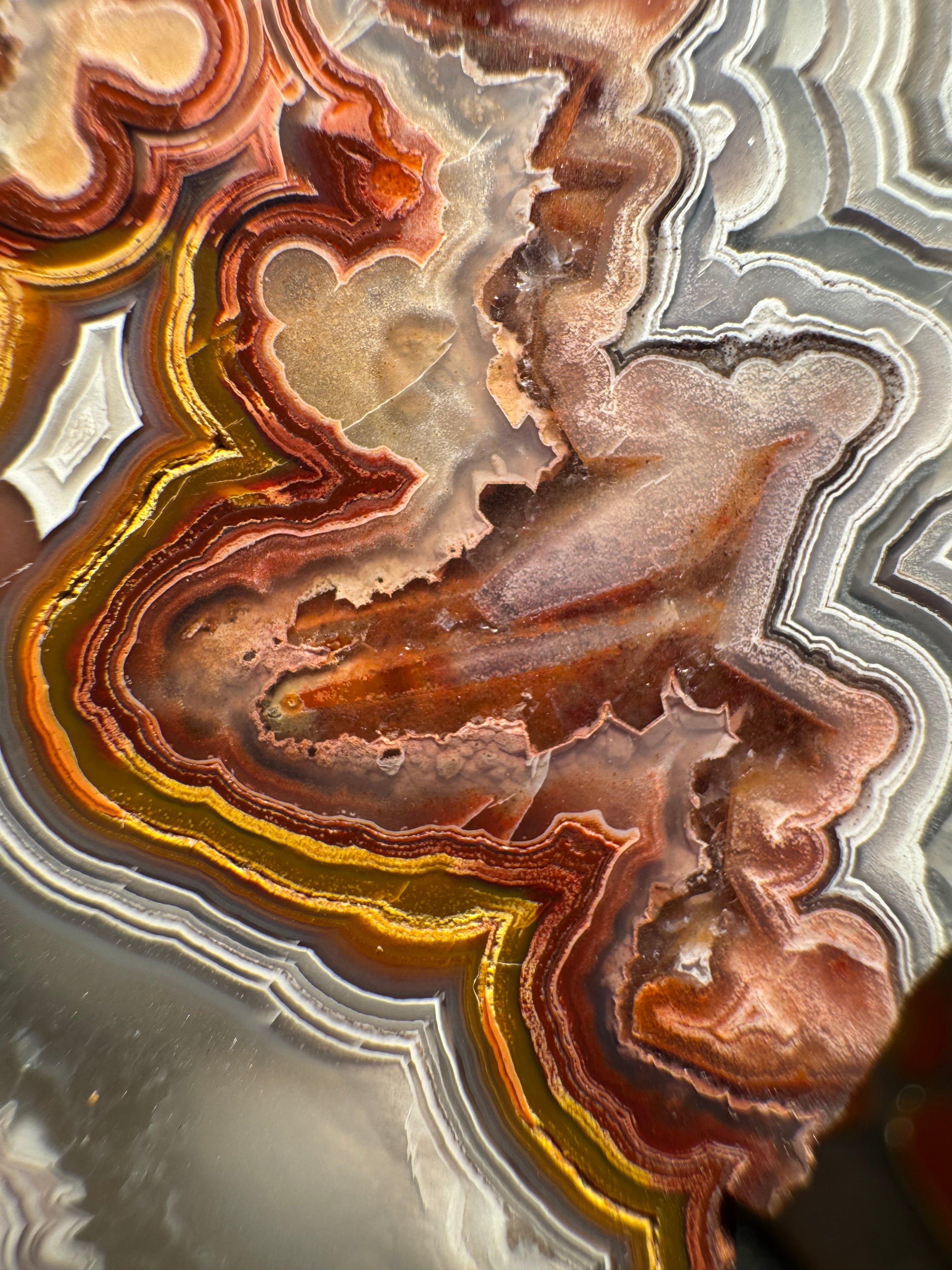Top Laguna Lace Agate