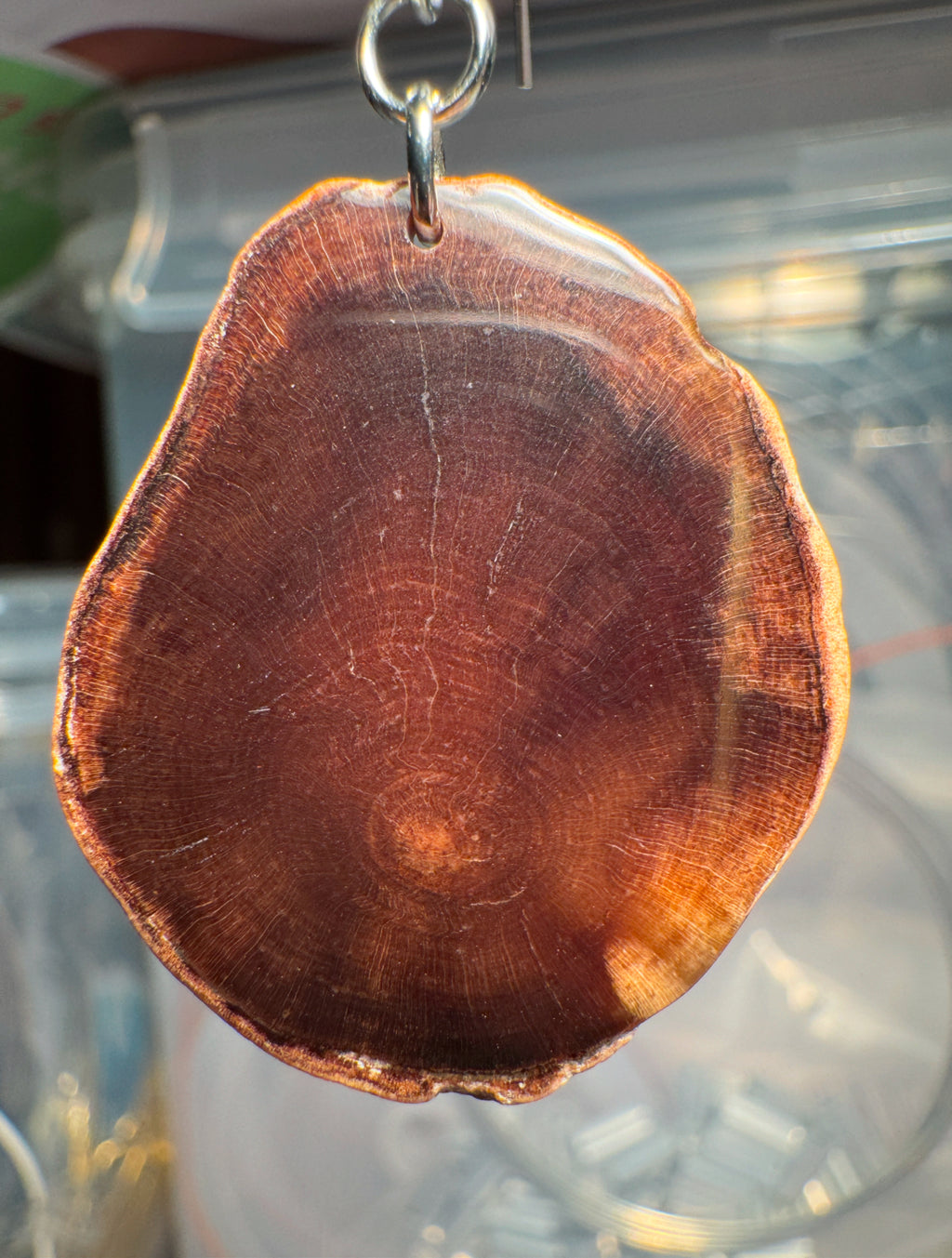 Petrified wood earrings and pendants