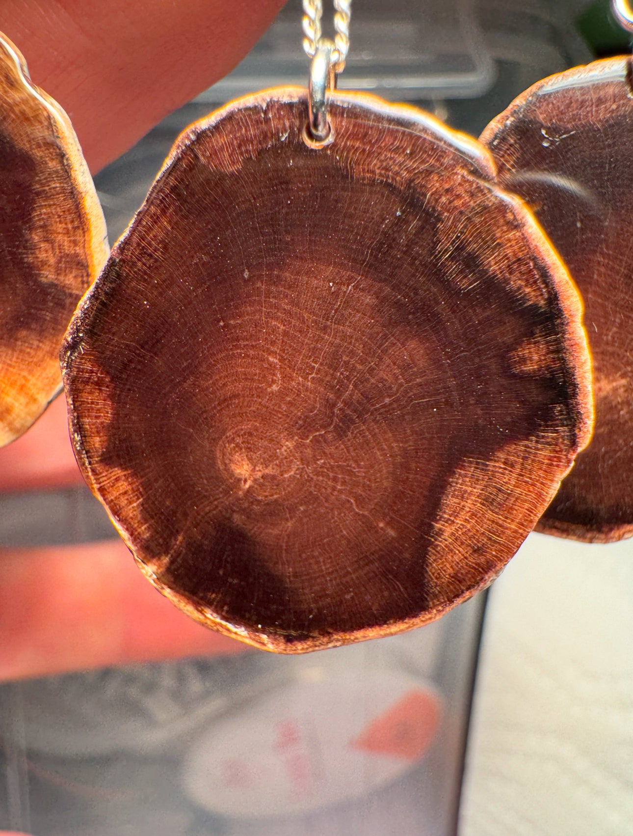 Petrified wood earrings and pendants