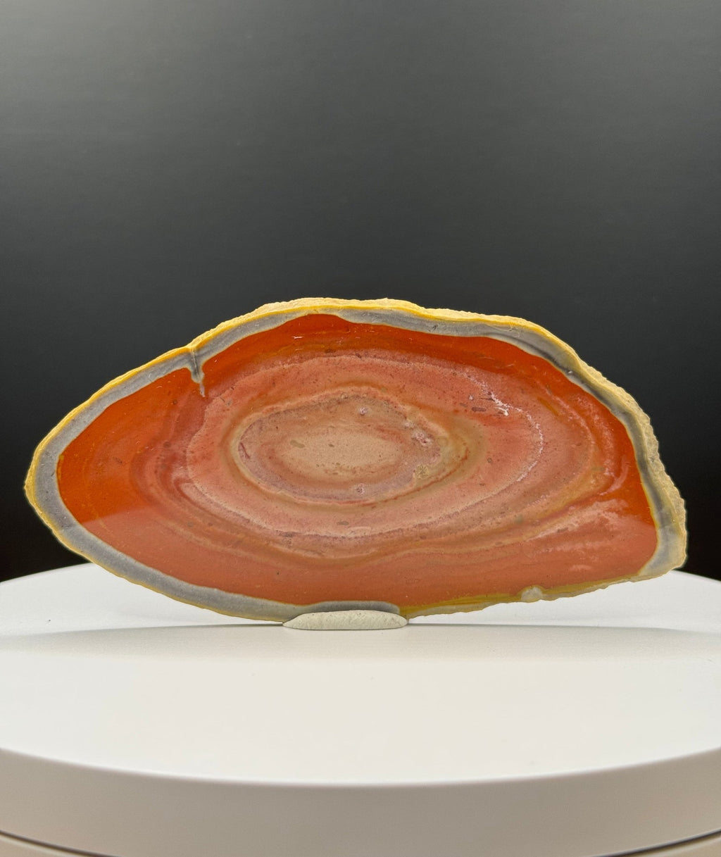 Große Bohnerzjaspis Scheibe