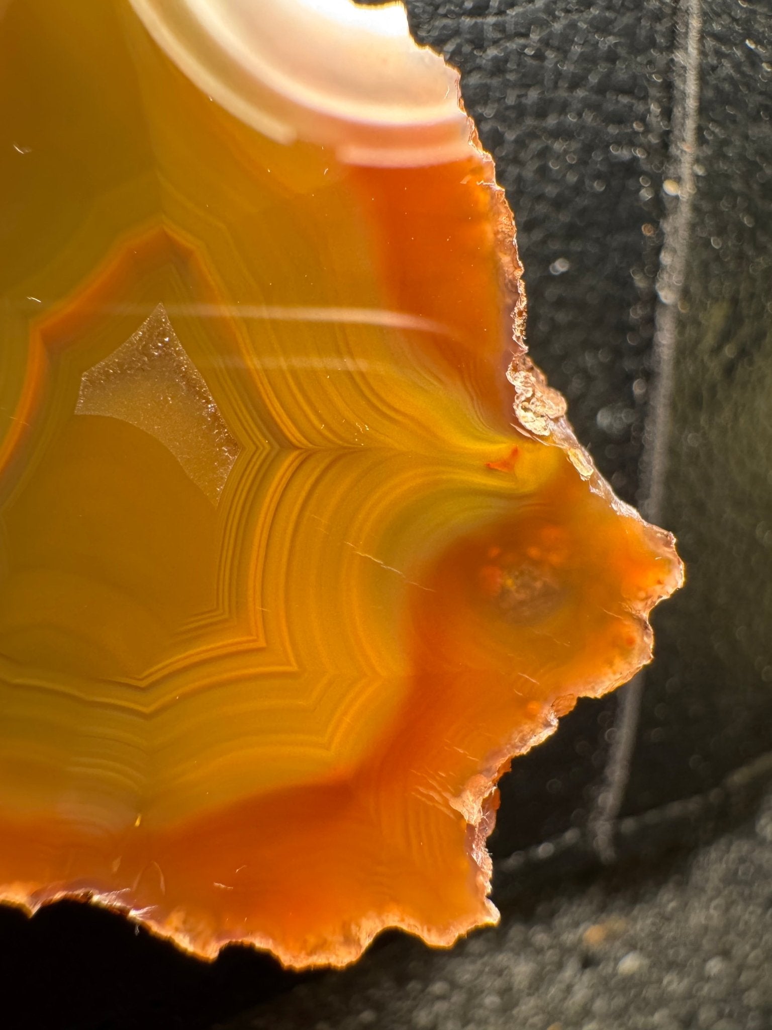 Condor Agate Argentina