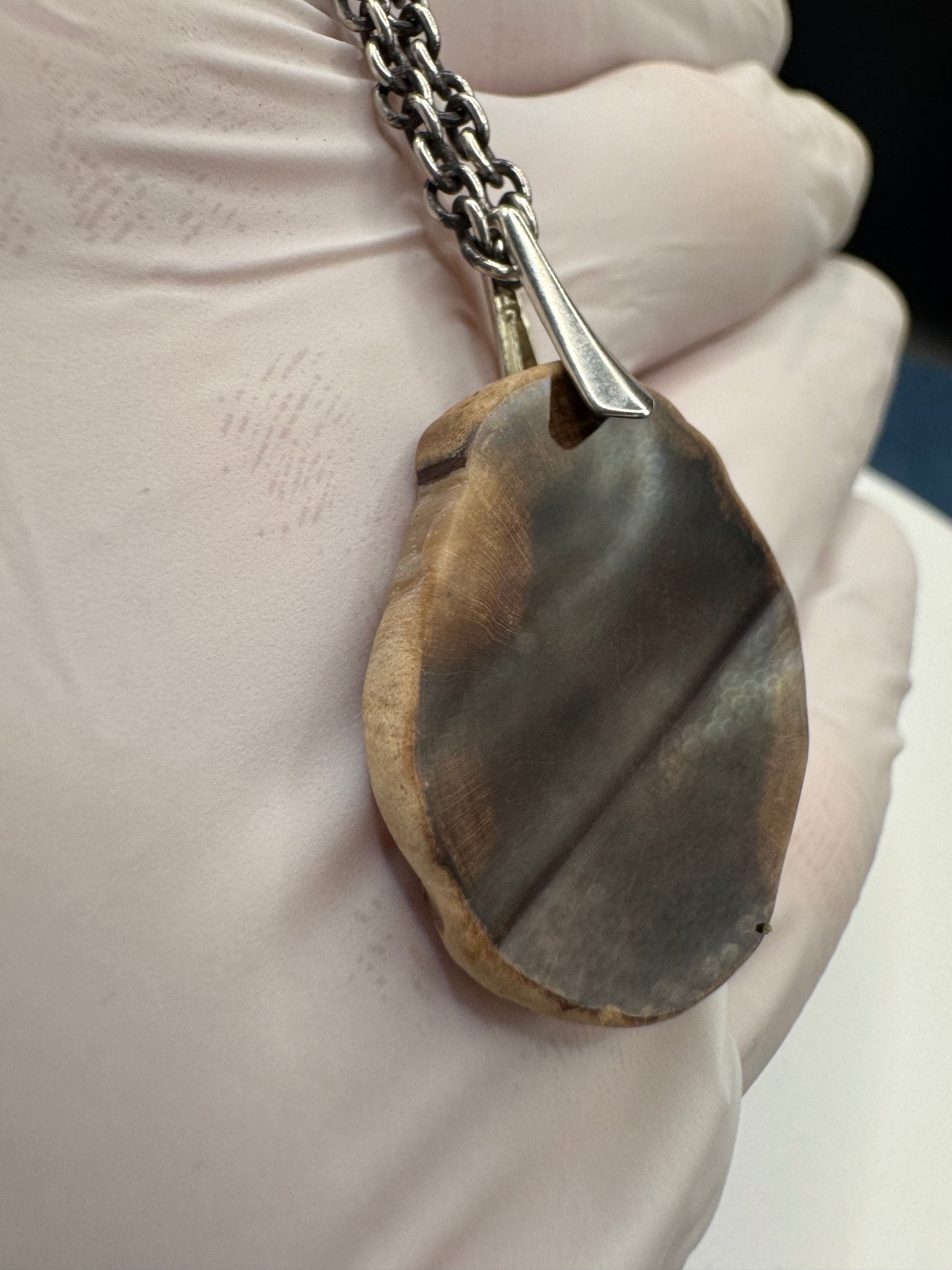 Petrified Wood Pendant