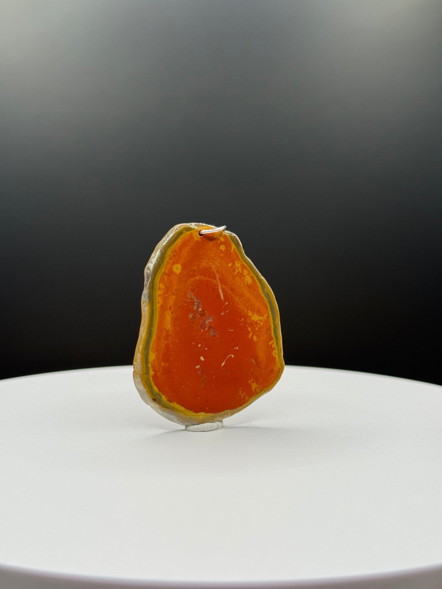 Bohnerzjaspis Anhänger viele Fossilien