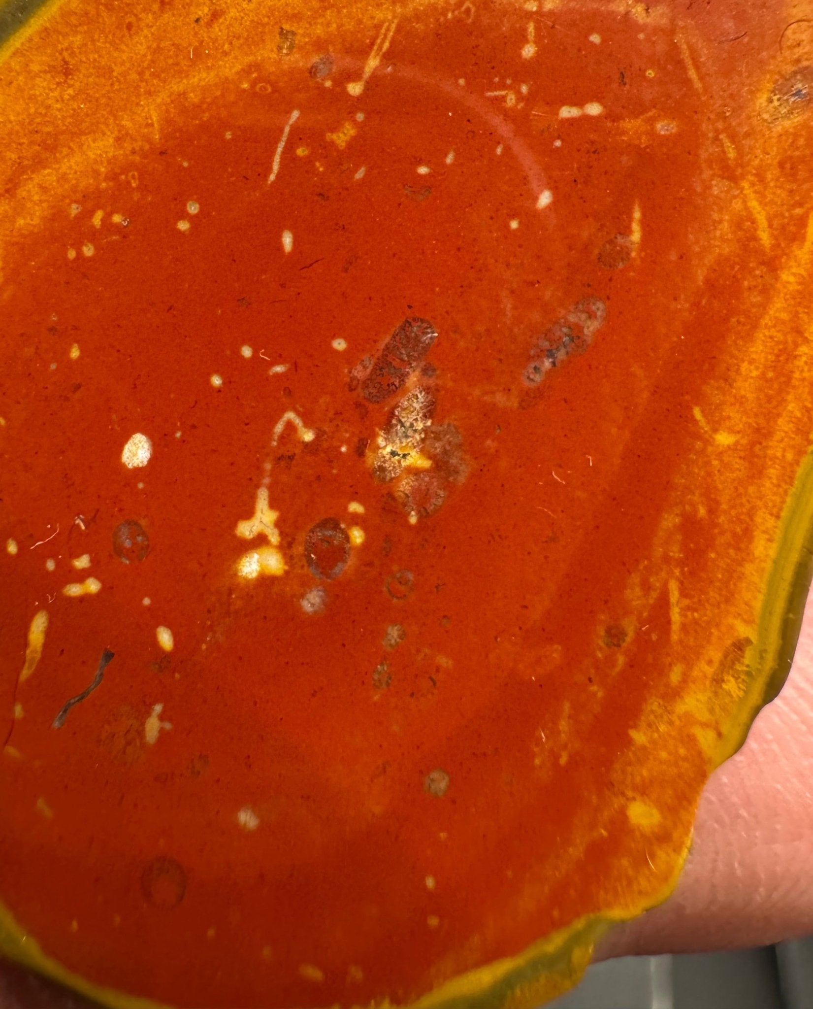 Bohnerzjaspis Anhänger viele Fossilien