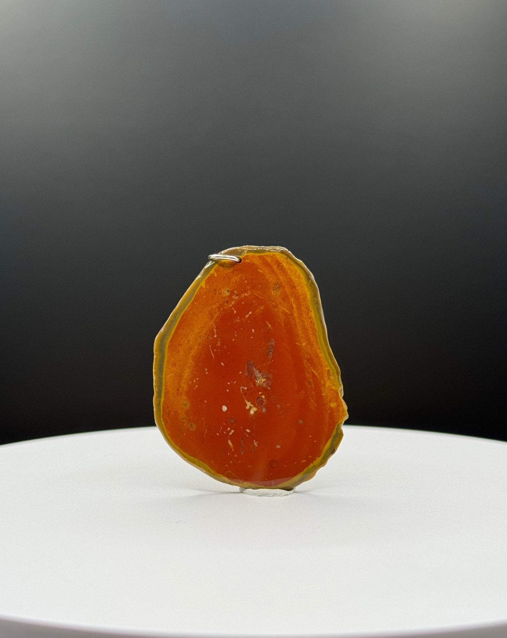 Bohnerzjaspis Anhänger viele Fossilien