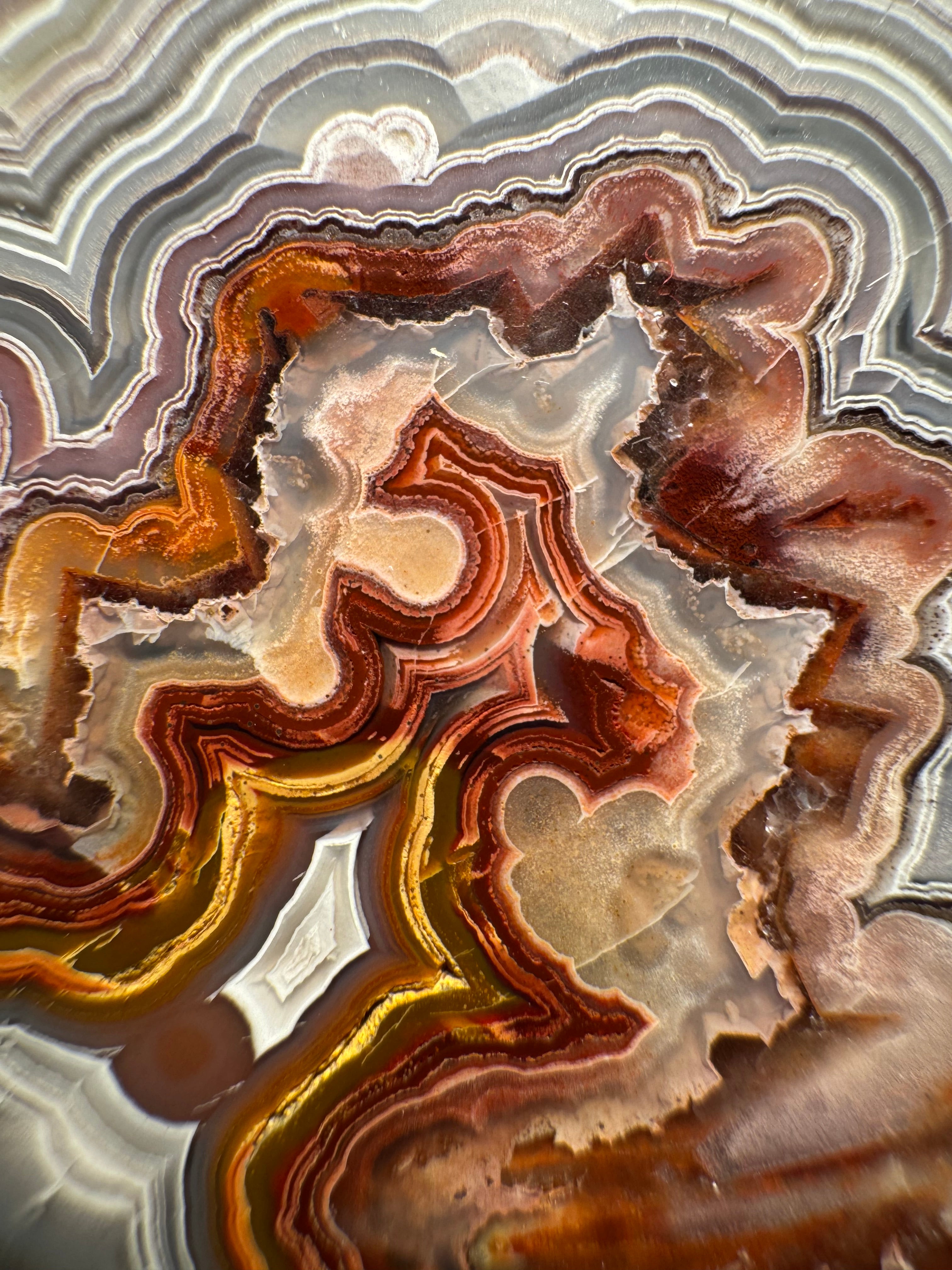 Top Laguna Lace Agate