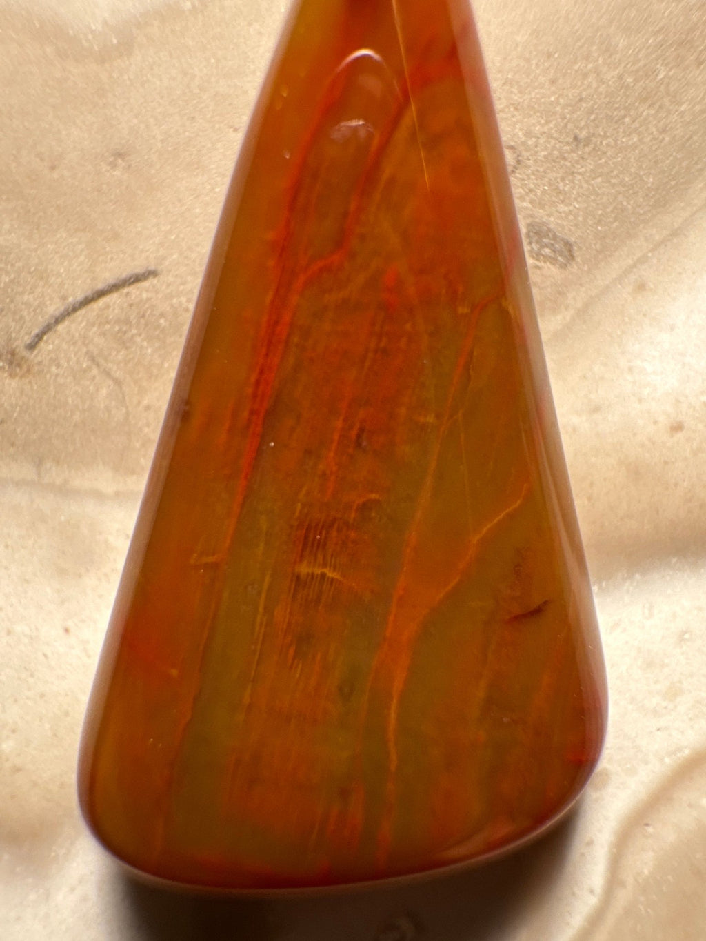 Handcrafted Petrified Rainbow Wood Pendant from Arizona