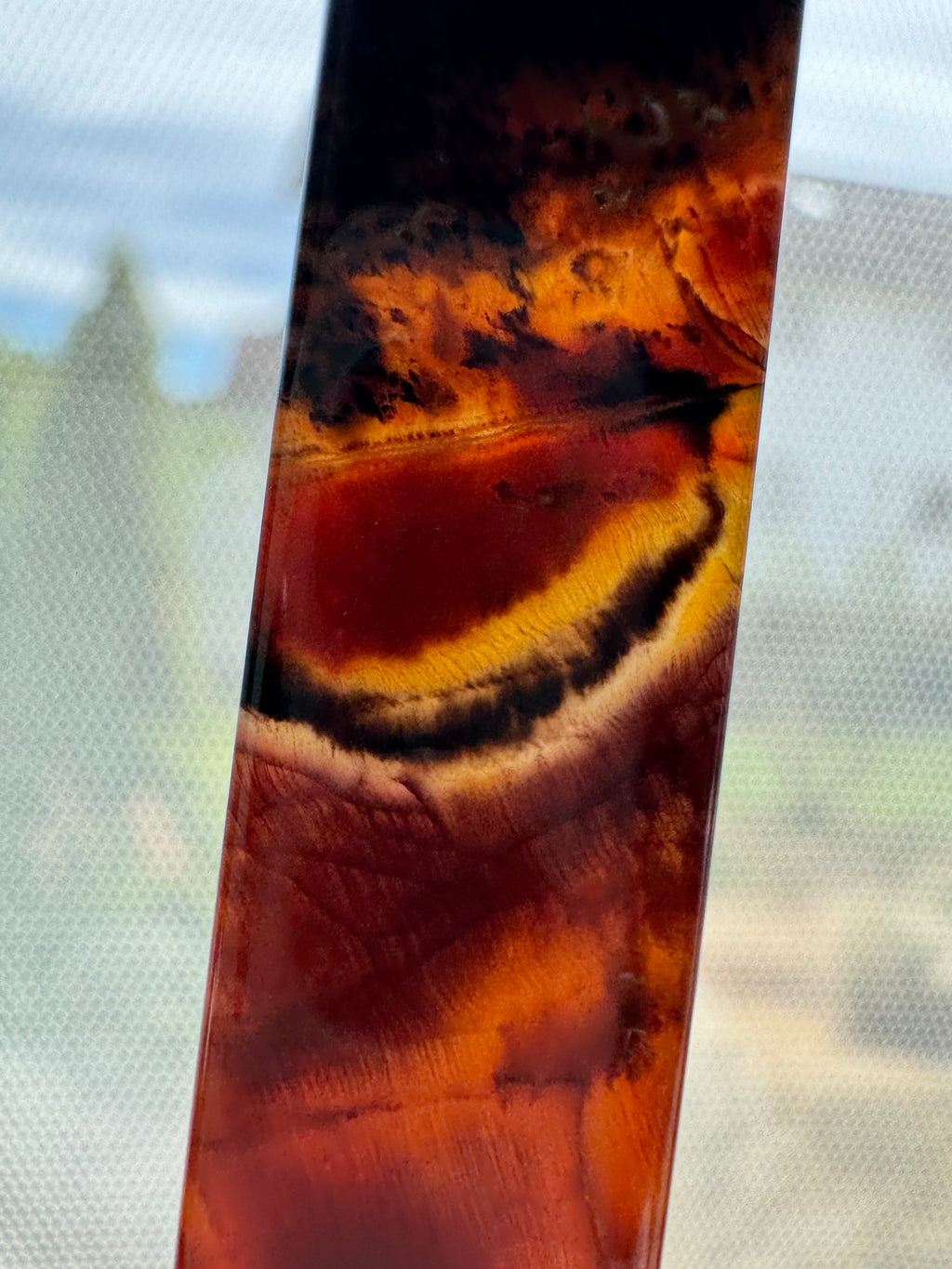 Versteinertes Regenbogenholz aus Arizona als Schmuck Anhänger