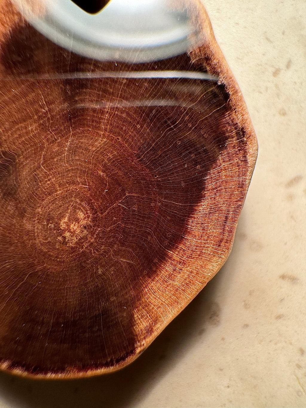 Petrified Wood Pendant
