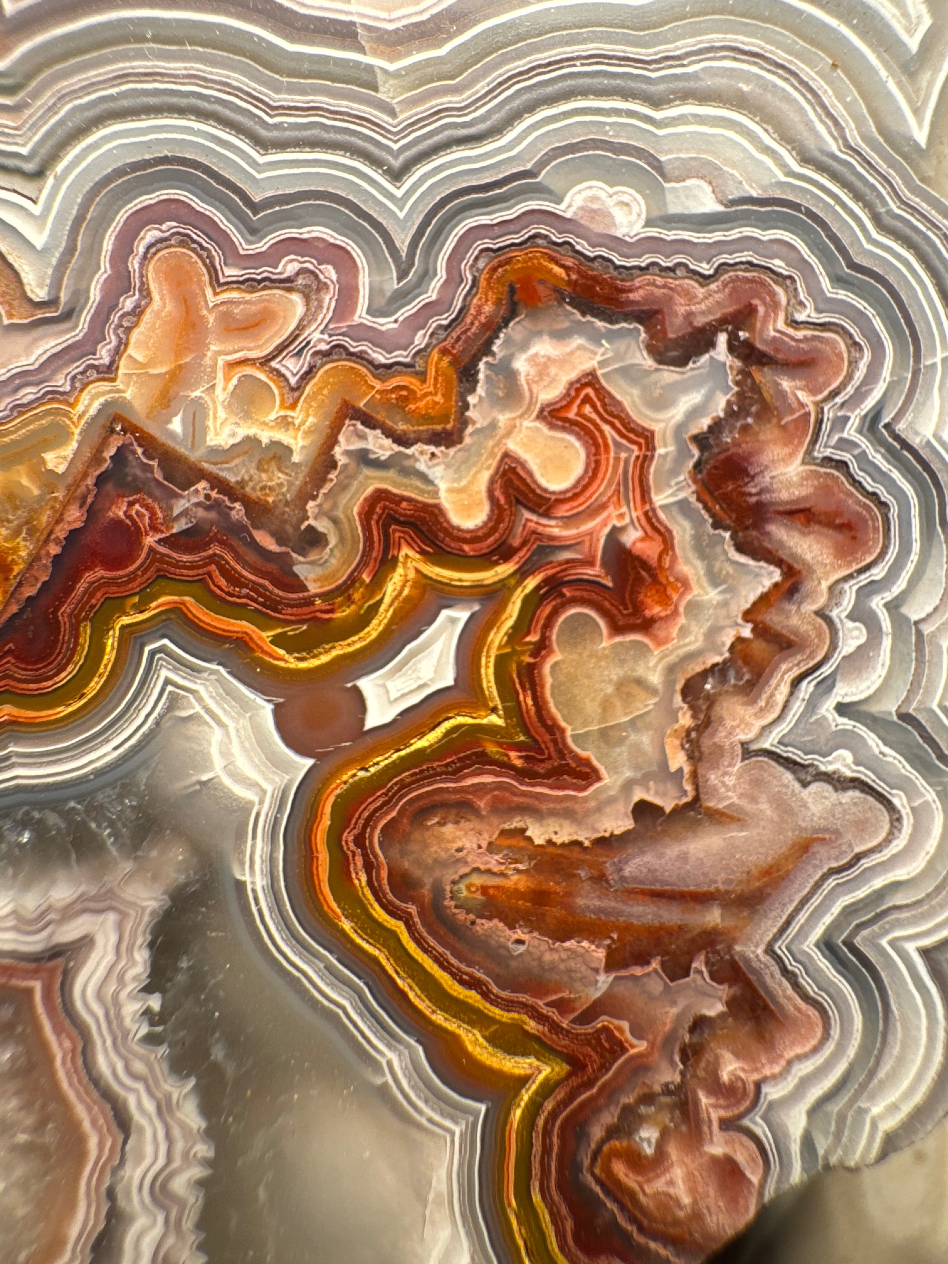 Top Laguna Lace Agate