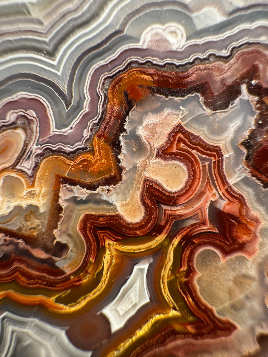 Top Laguna Lace Agate