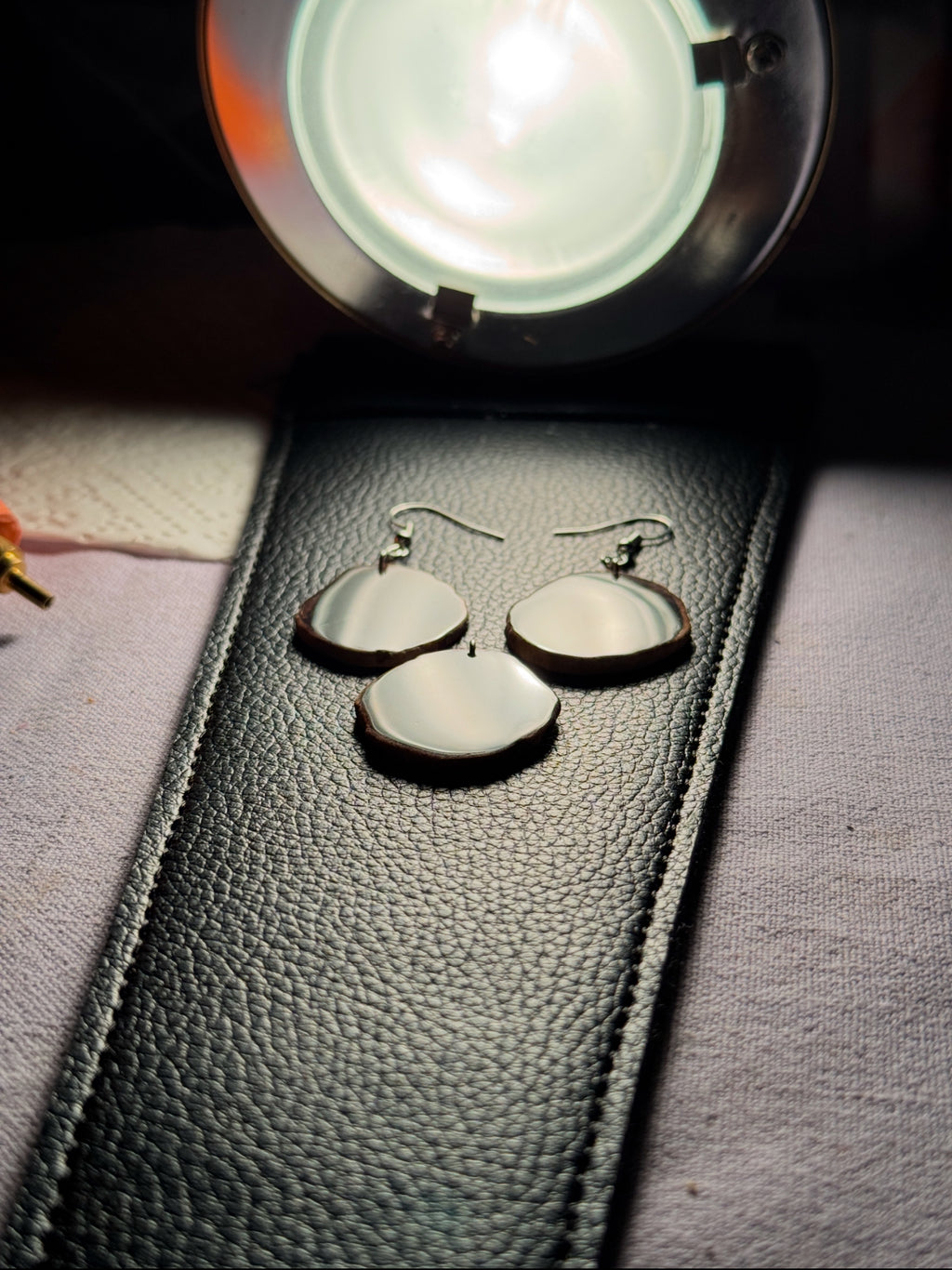 Petrified wood earrings and pendants