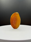 Wood Jasper Pendant