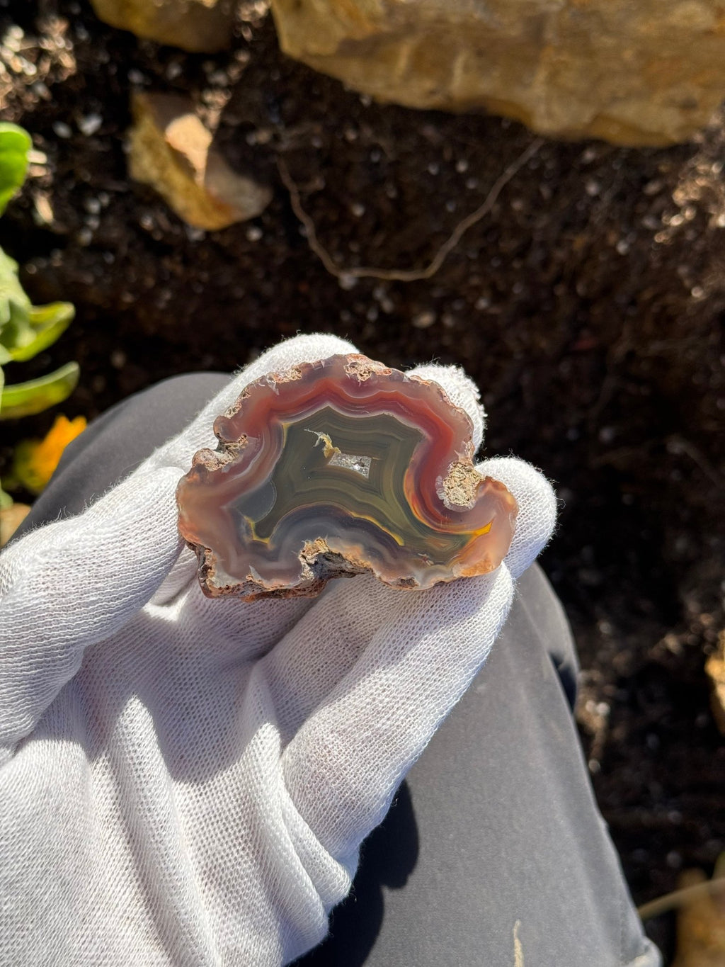 Top agate from Argentina