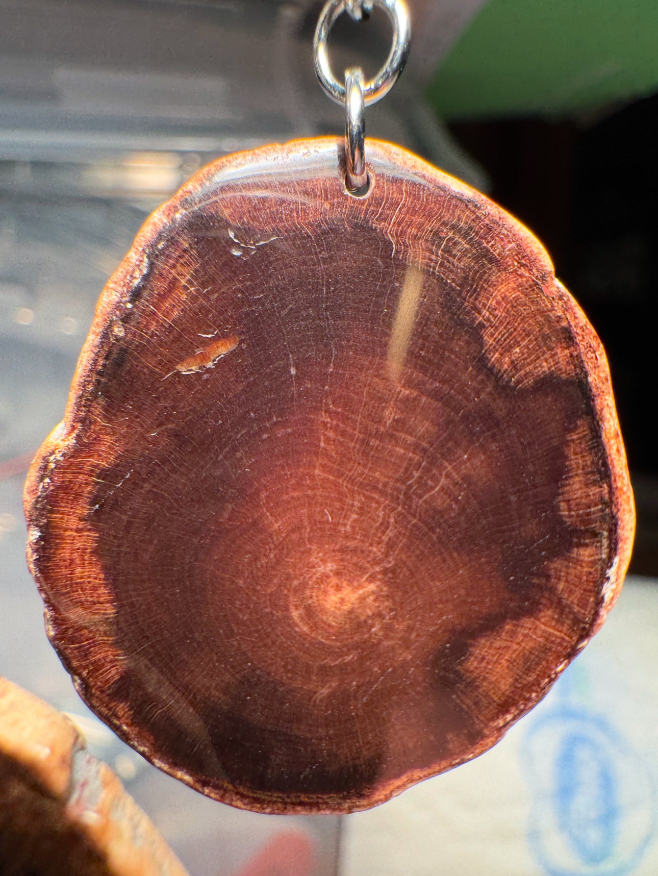 Petrified wood earrings and pendants