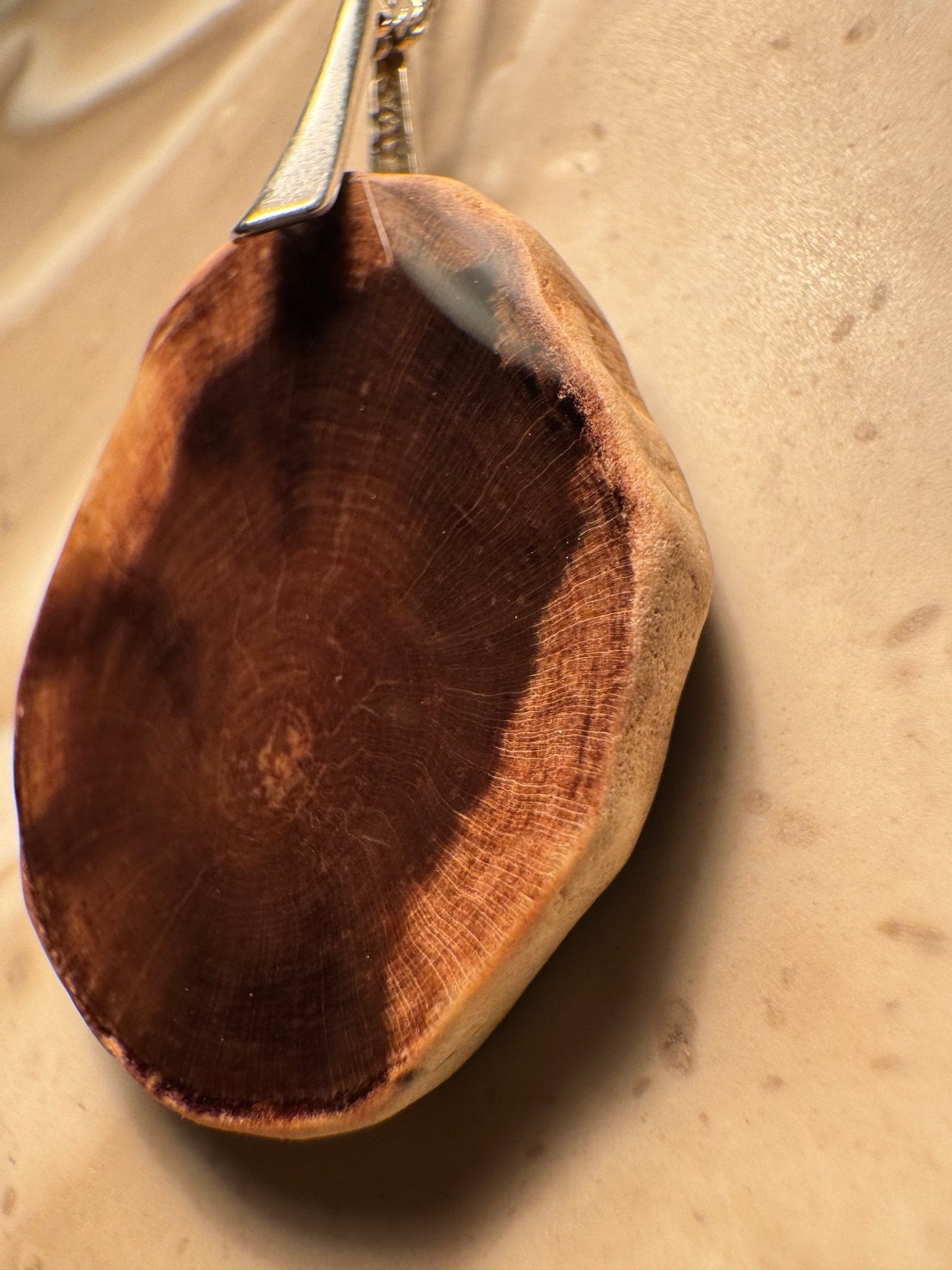 Petrified Wood Pendant