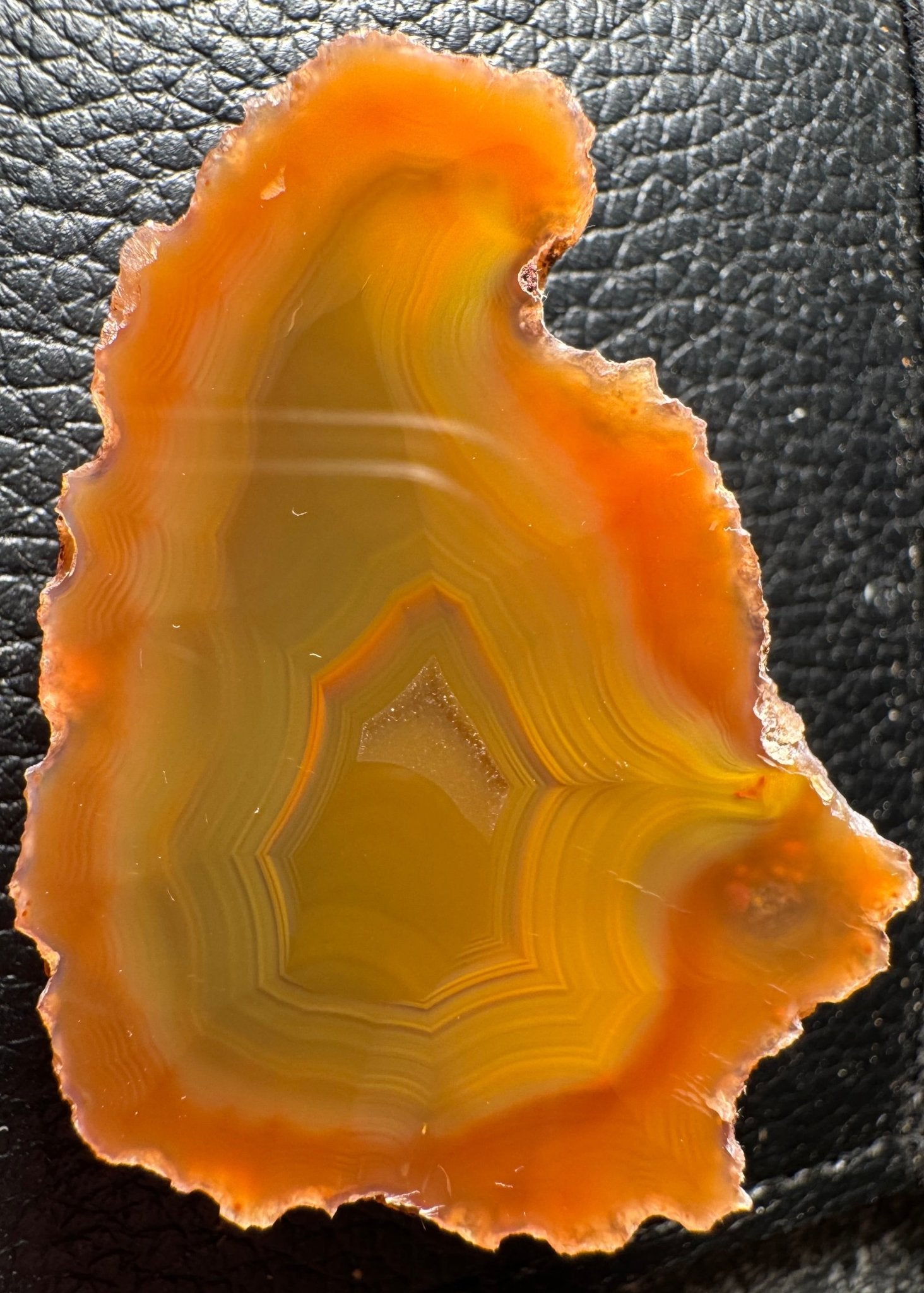 Condor Agate Argentina