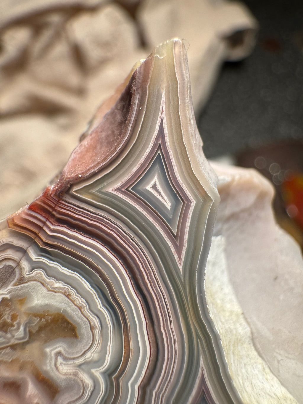 Top Laguna Lace Agate