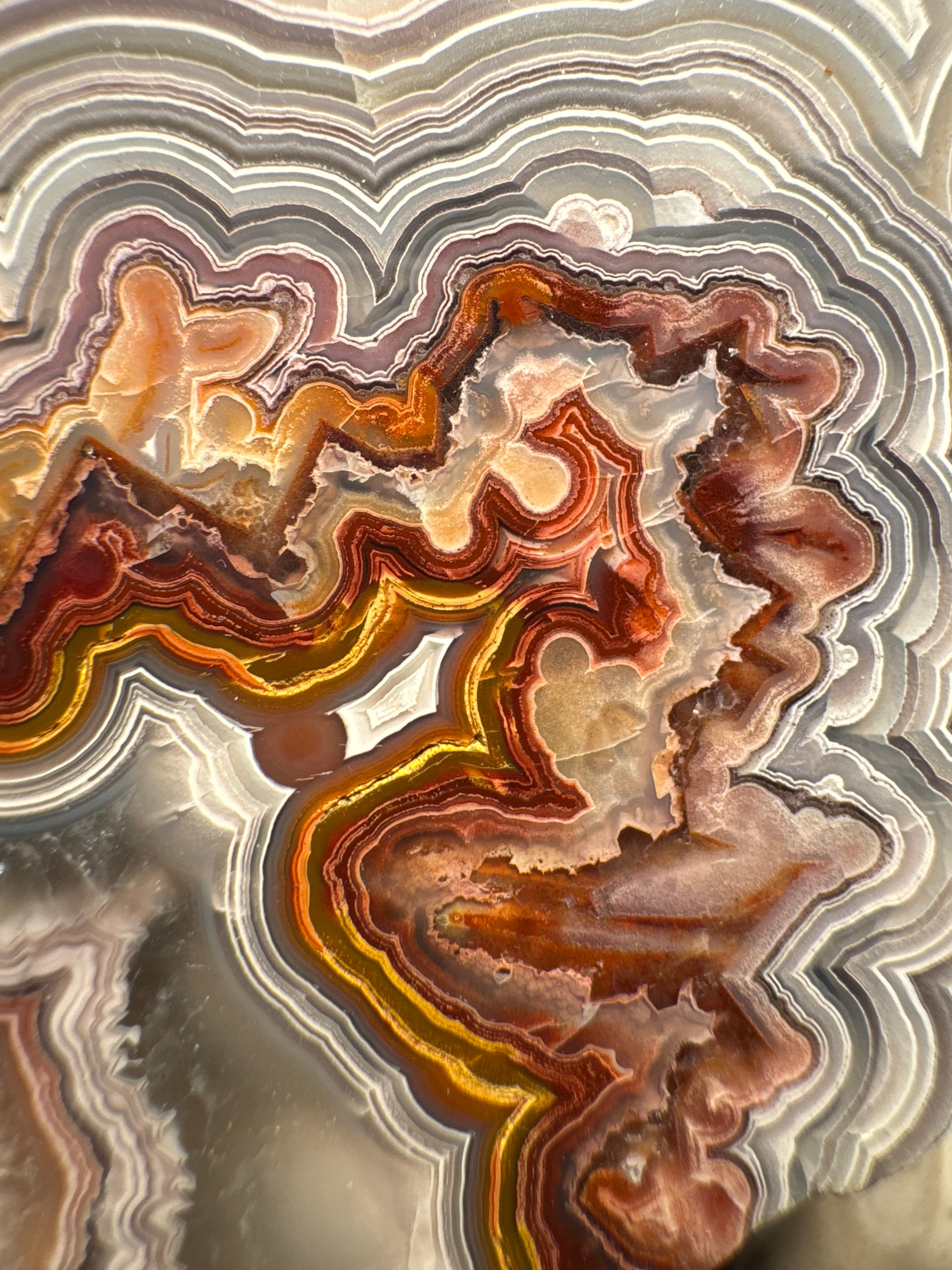 Top Laguna Lace Agate