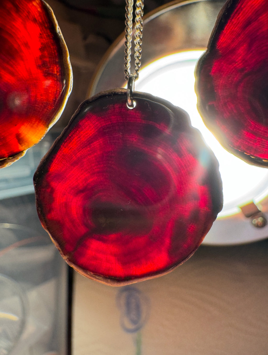 Petrified wood earrings and pendants