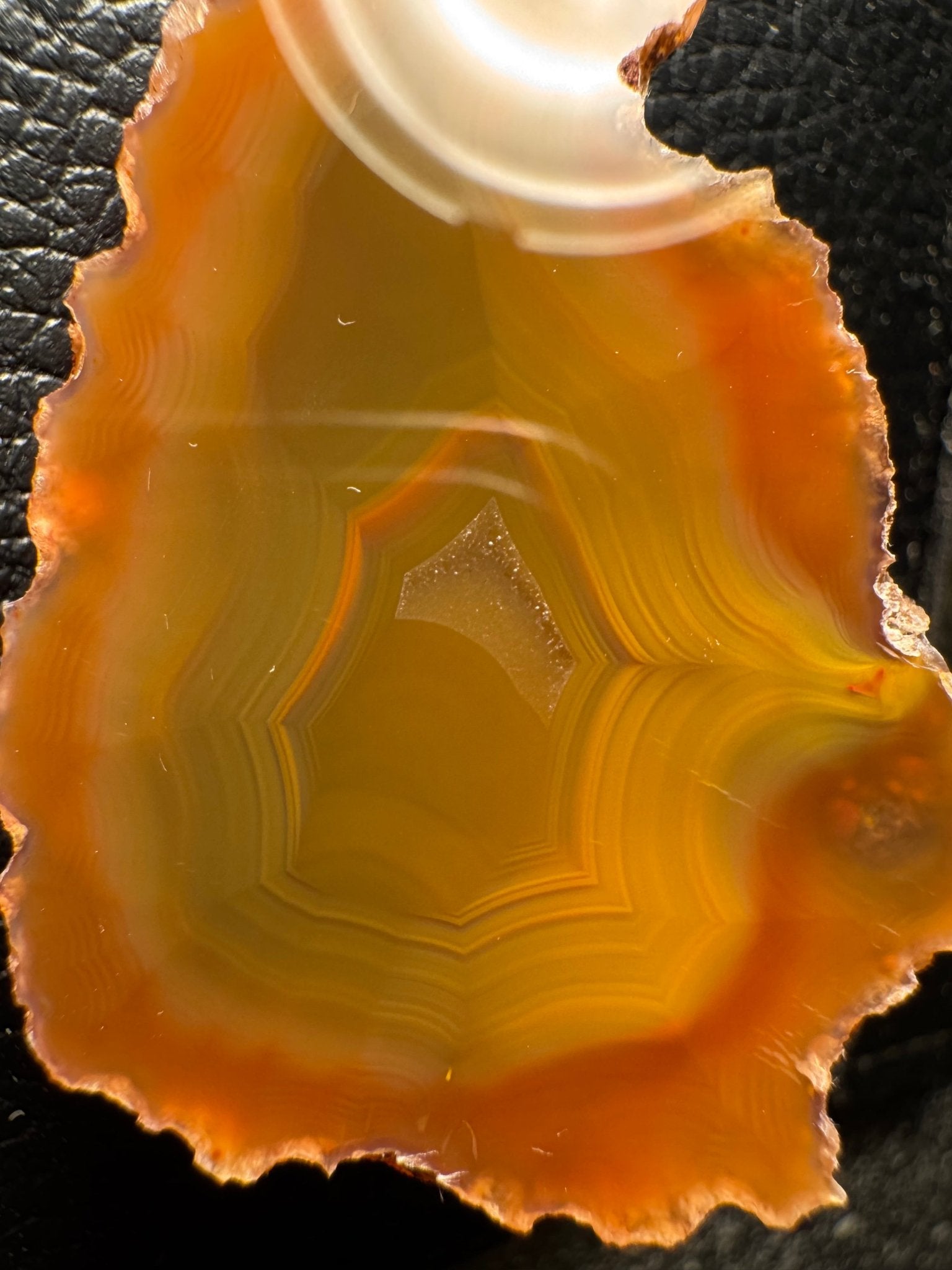 Condor Agate Argentina