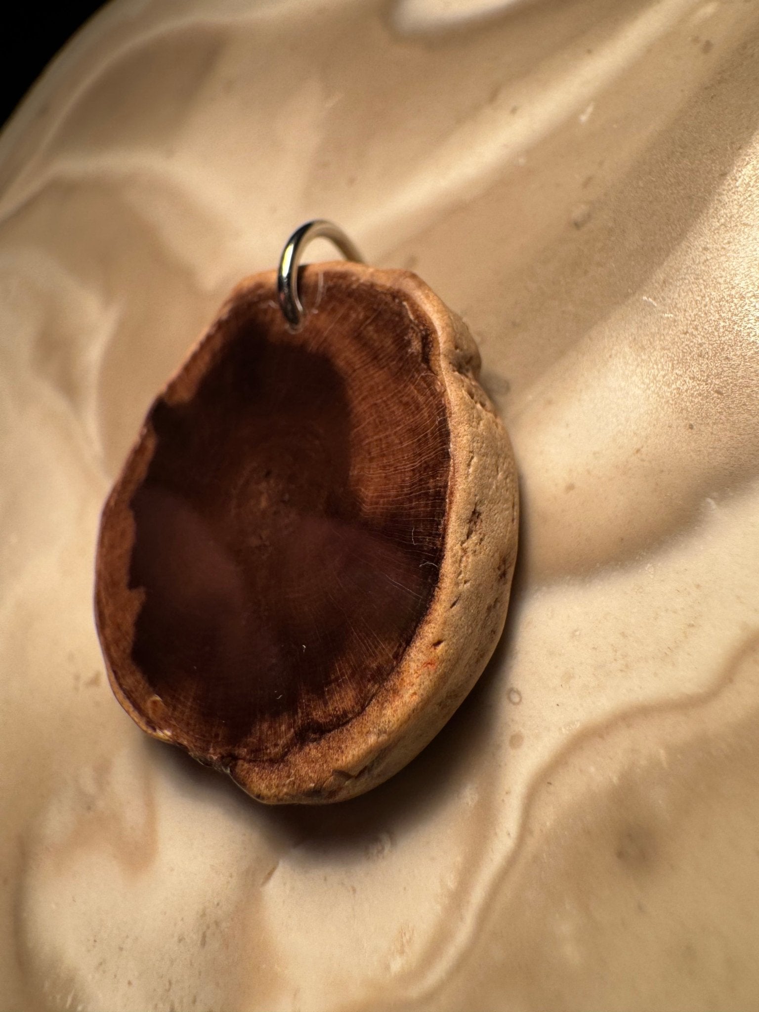 Handcrafted Petrified Wood Pendant