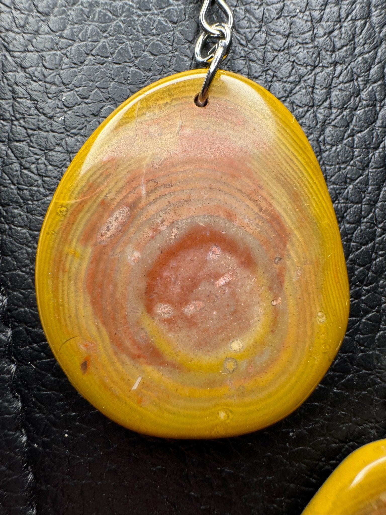 Bohnerzjaspis mit Ringen und Fossilien