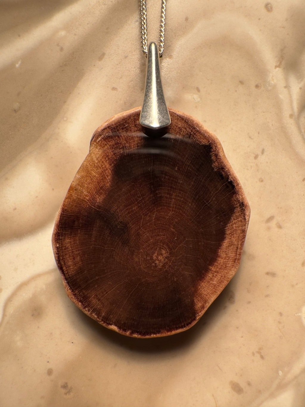 Petrified Wood Pendant