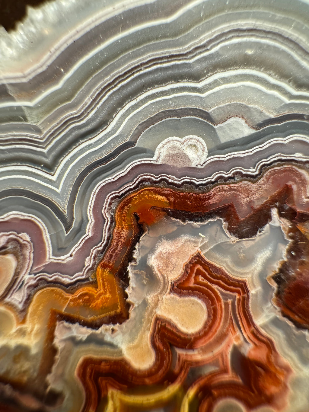 Top Laguna Lace Agate