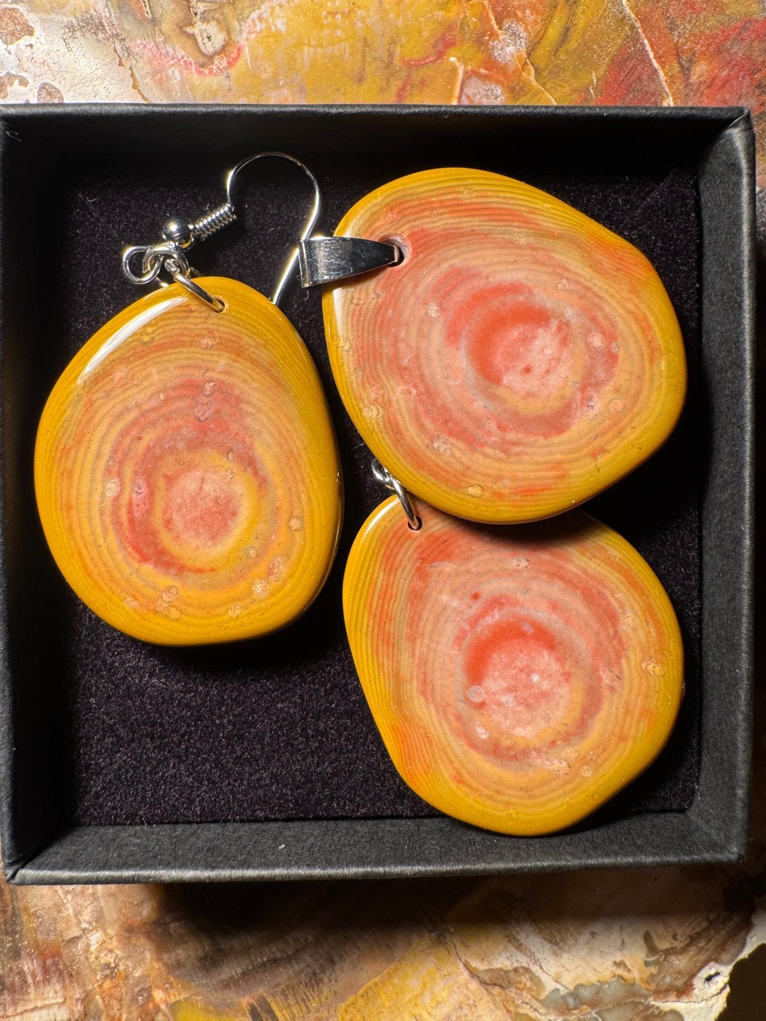 Polished Jasper with rings and fossils