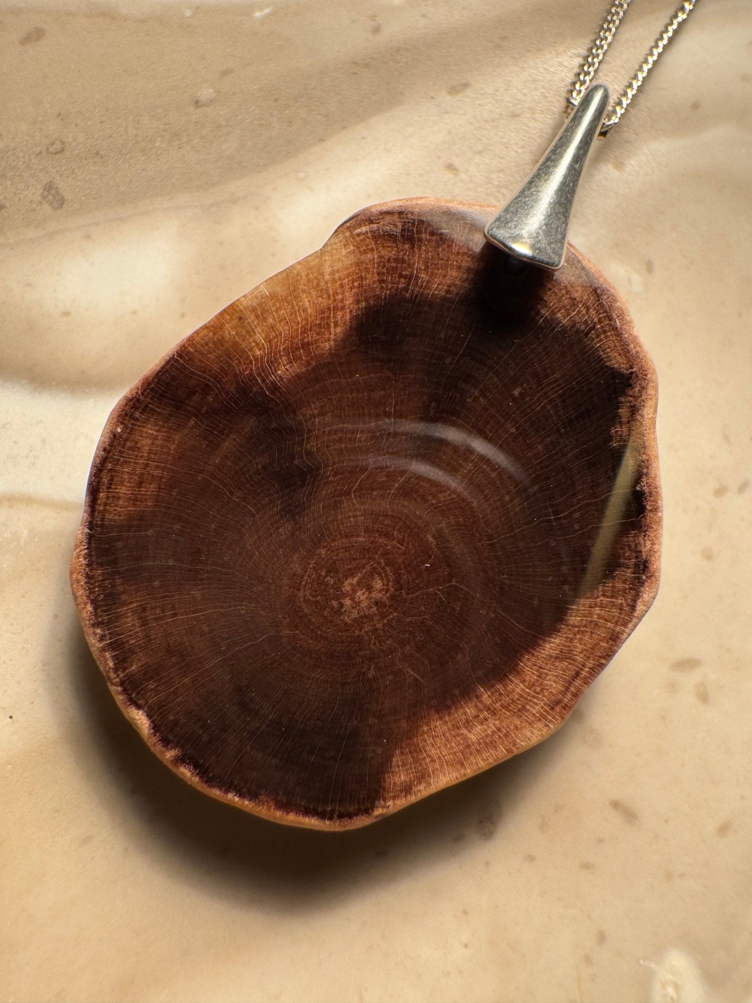 Petrified Wood Pendant