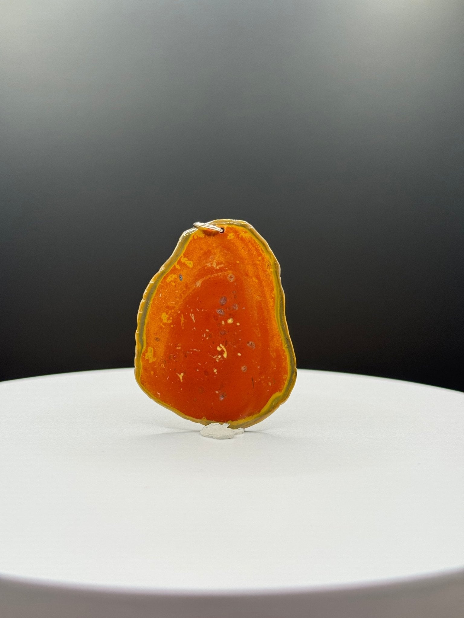 Bohnerzjaspis Anhänger viele Fossilien