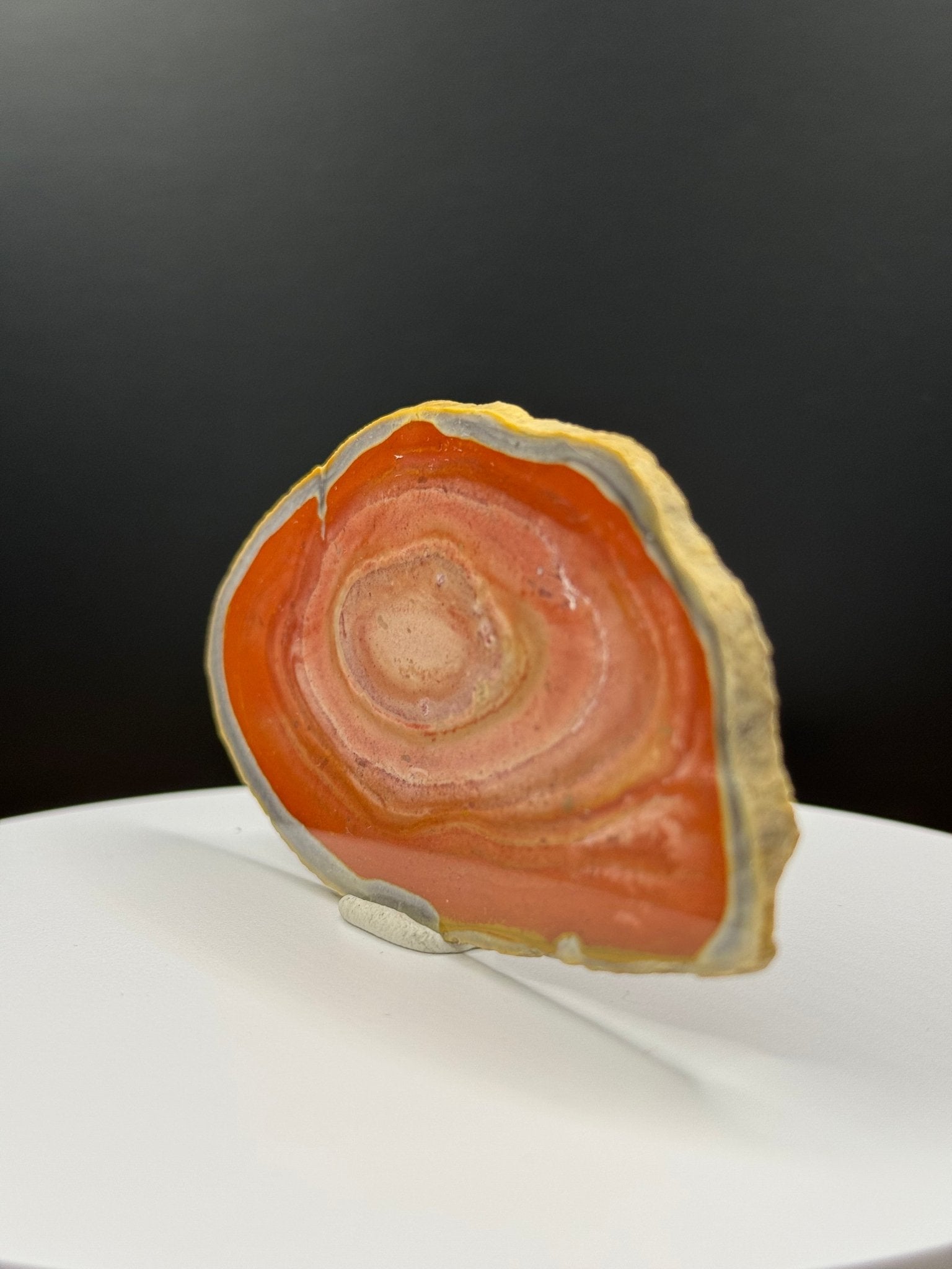 Große Bohnerzjaspis Scheibe