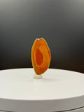 Boiolitic jasper pendant contains many fossils and has a deep effect