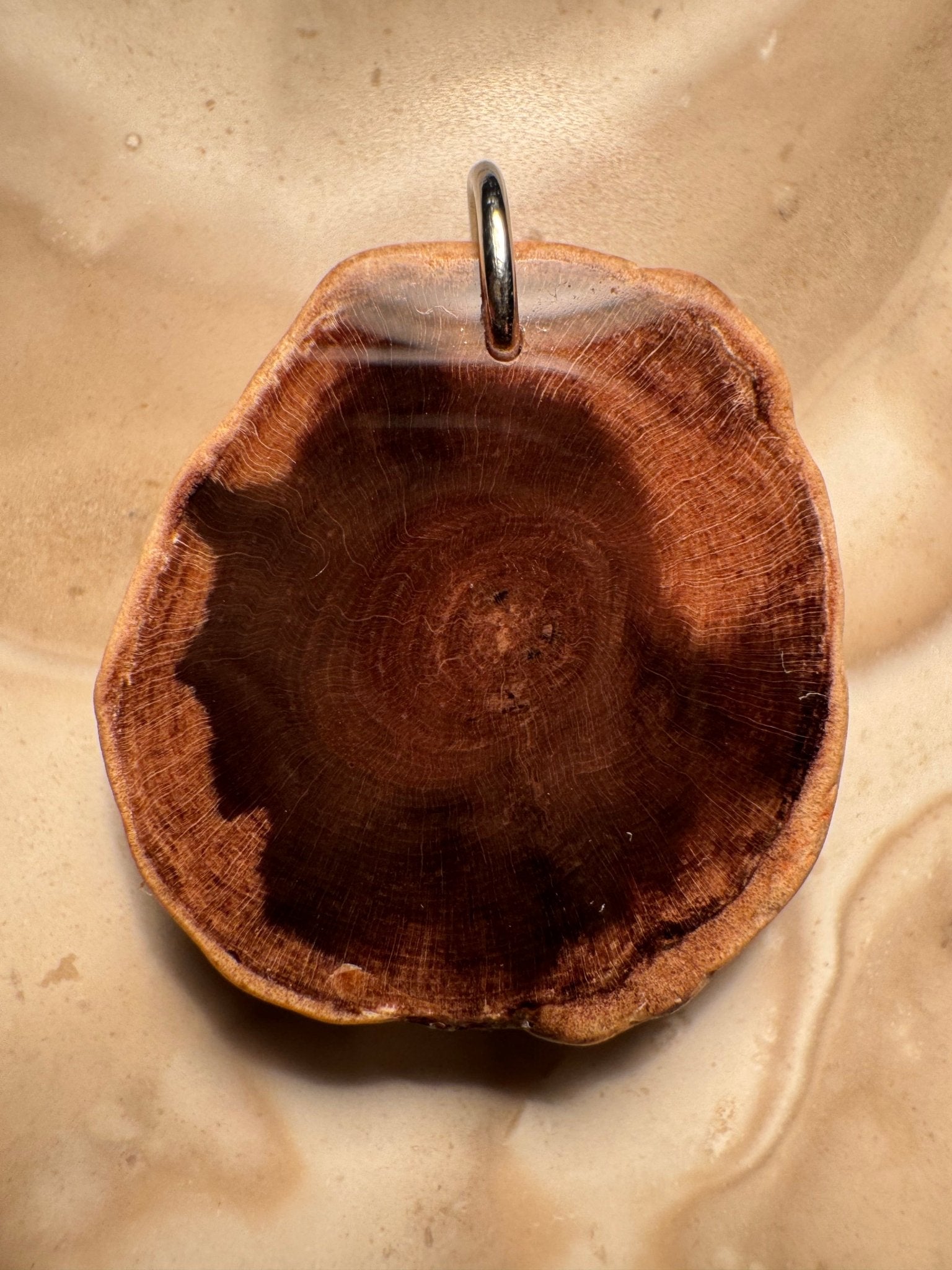 Handcrafted Petrified Wood Pendant