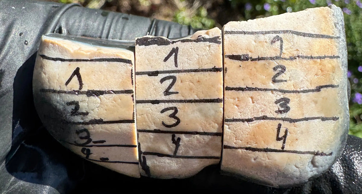 Helgoländer Feuerstein mit aufgezeichneten Schnittlinien und Nummerierung, in Scheiben gesägt – Sägedienst der Mineralien Manufaktur