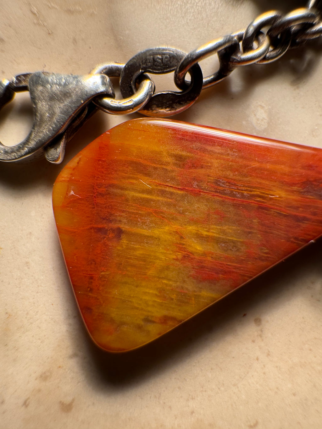Handcrafted petrified rainbow wood pendant from Arizona