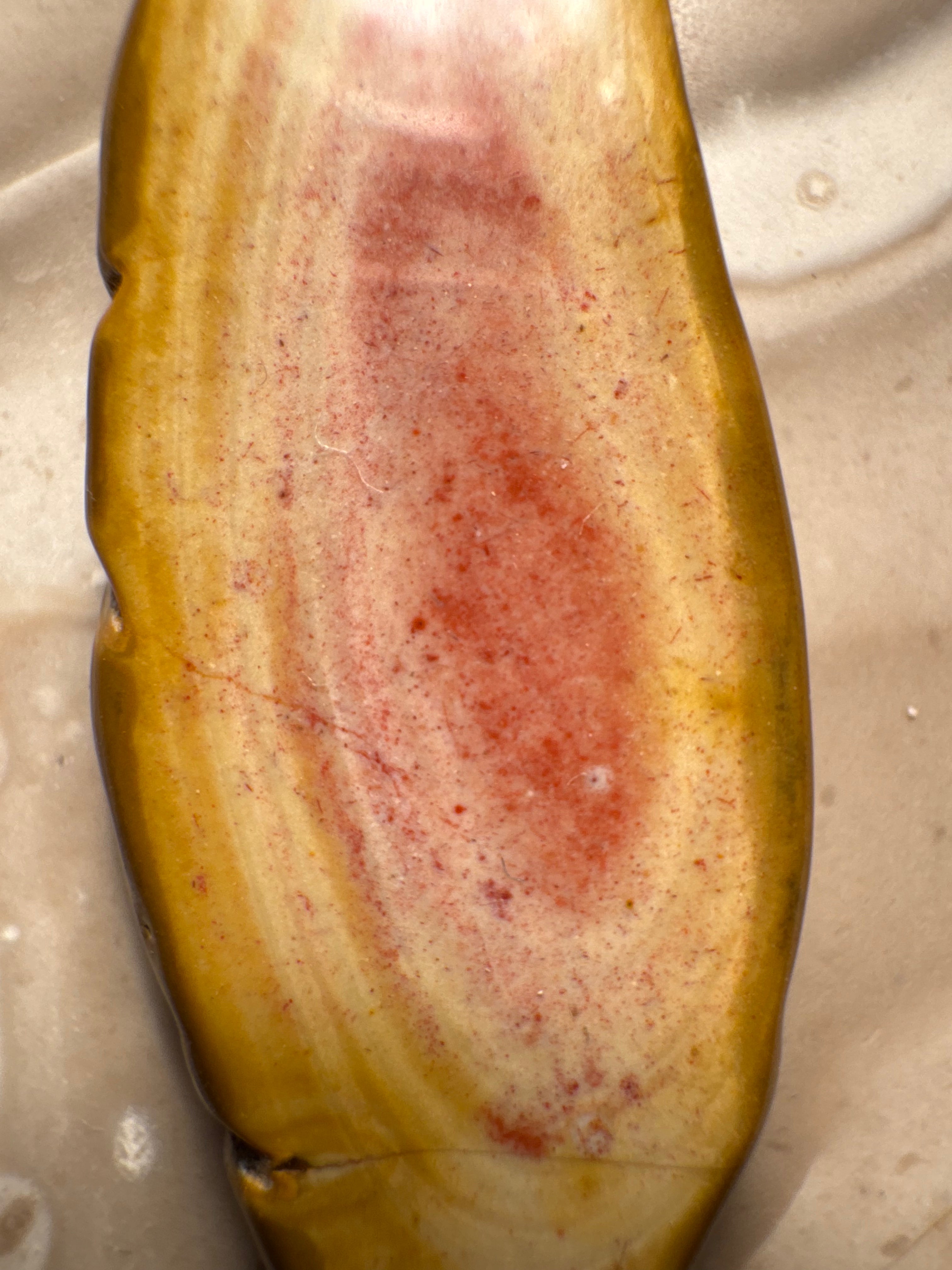 Handgefertigter Bohnerzjaspis Anhänger