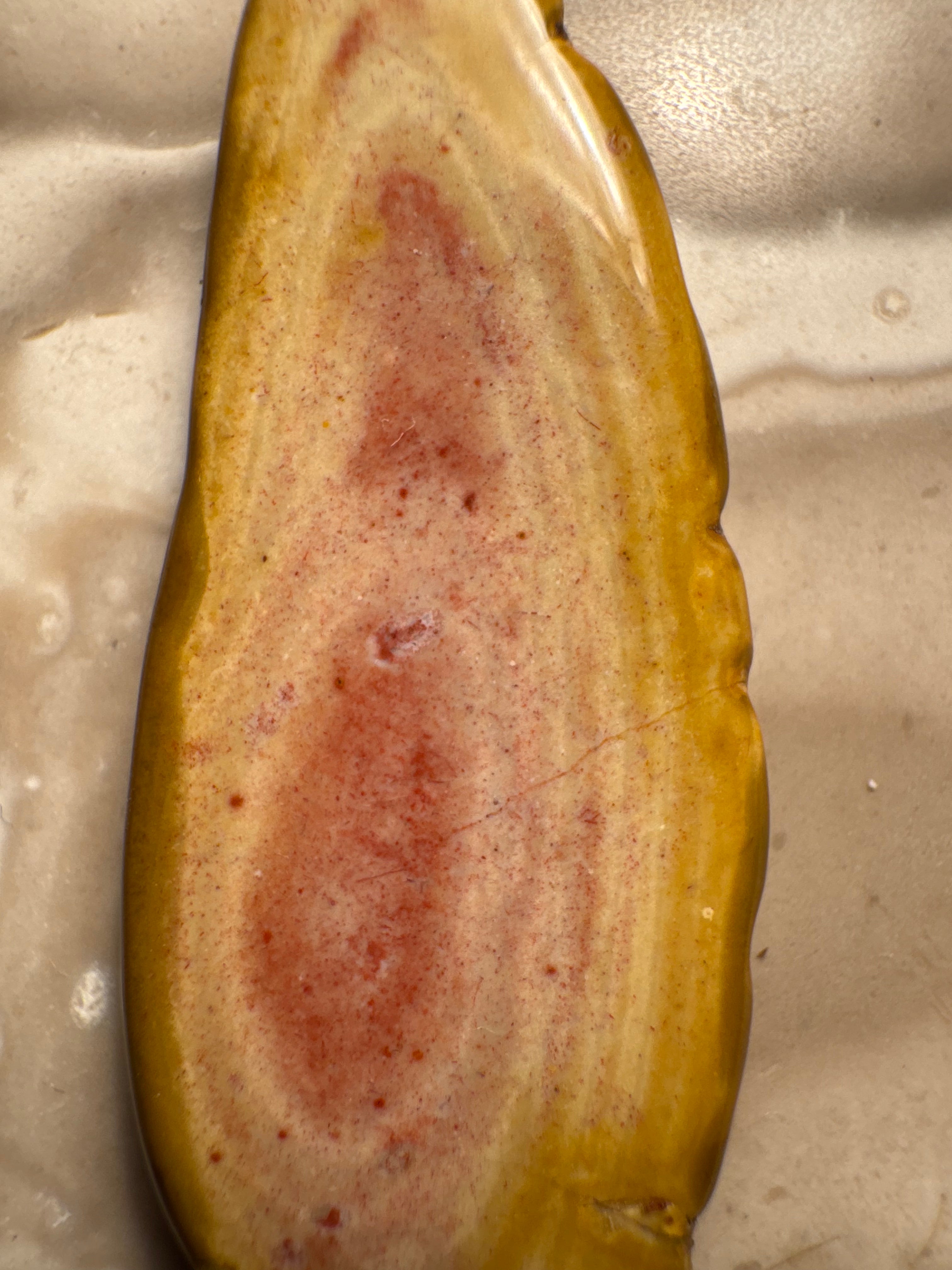 Handgefertigter Bohnerzjaspis Anhänger