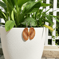 Bahia Fluss Achat Schmuckset
