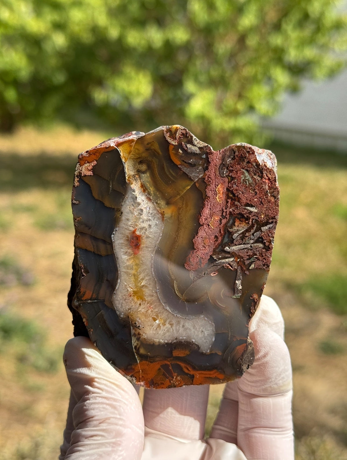 Achat Flachschliff aus Südbaden, erstklassige Politur - Mineralien Manufaktur