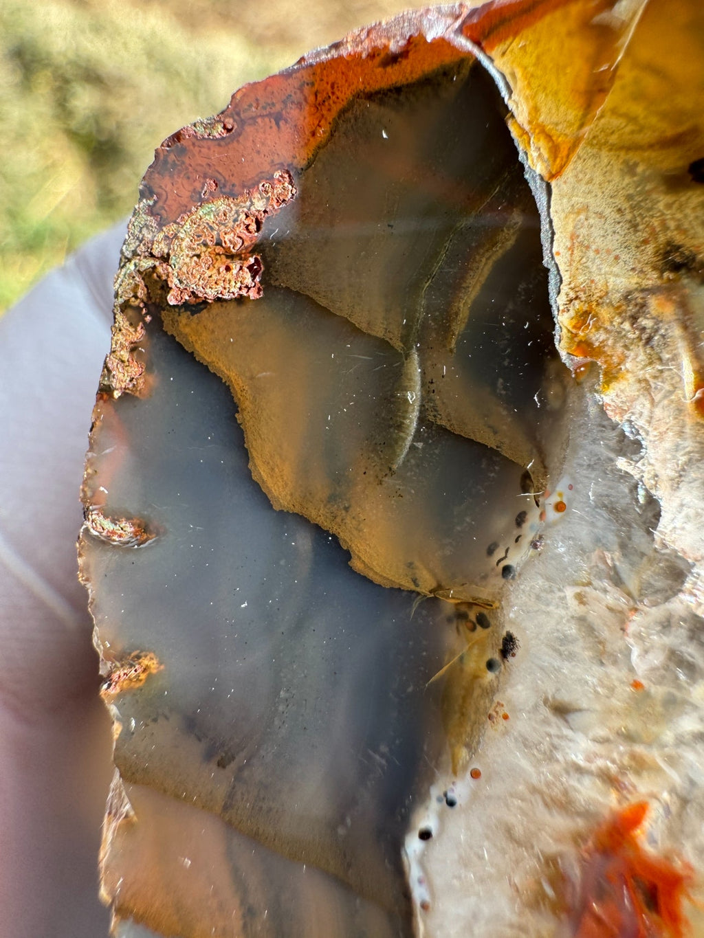 Achat Flachschliff aus Südbaden, erstklassige Politur - Mineralien Manufaktur