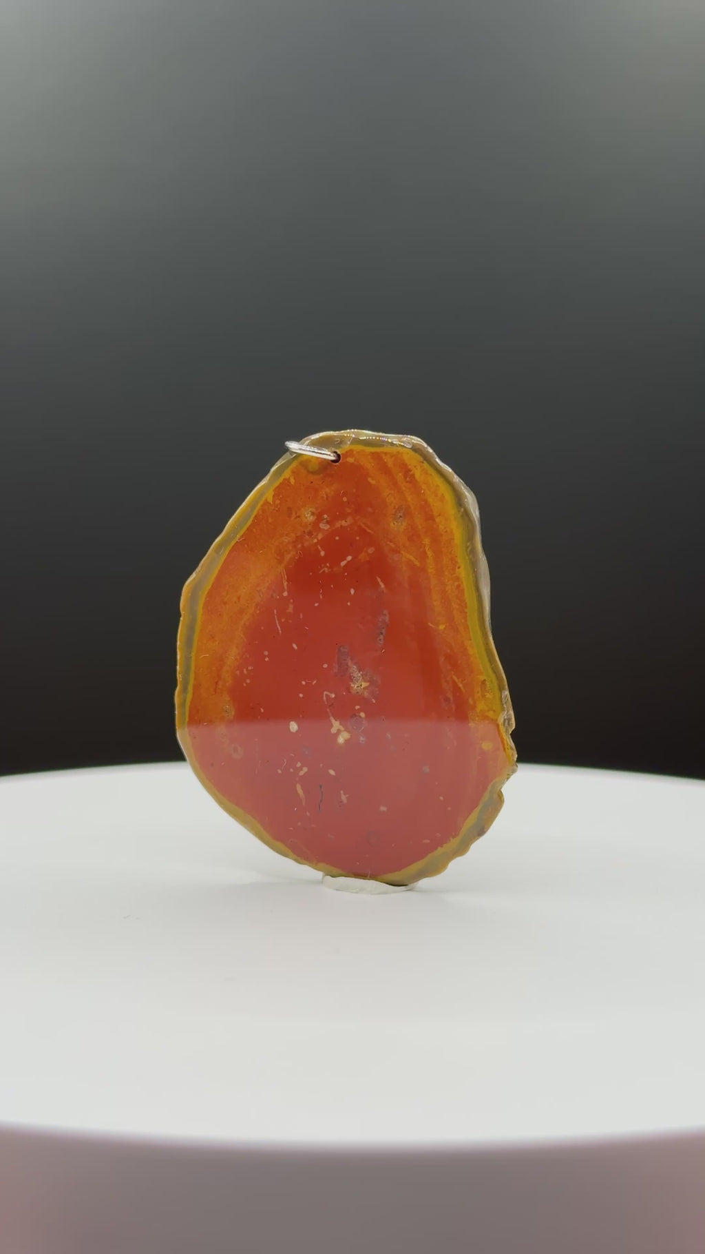 Bohnerzjaspis Anhänger viele Fossilien