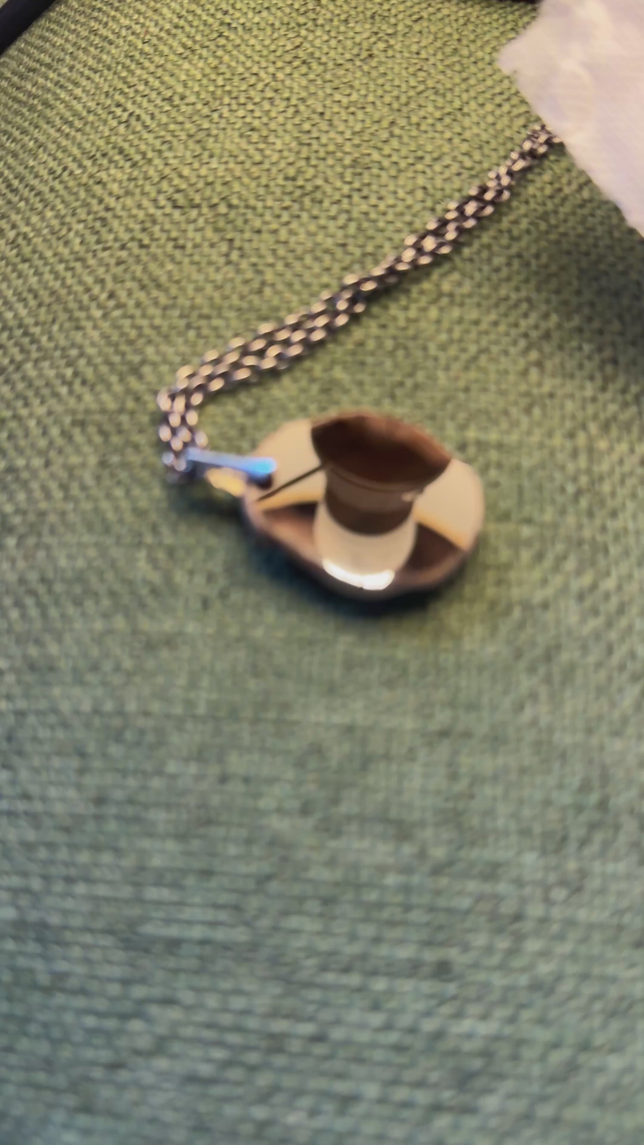 Petrified Wood Pendant